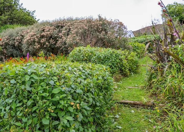 The Mermaid Сasa de vacaciones